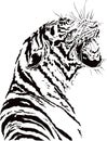 Tiger roaring graphic design art tattoo ideas unique dangerously powerful vector art black and white Royalty Free Stock Photo