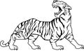 Tiger Roaring Wild Animal Vector Illustration