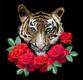 Tiger with roses on black background Royalty Free Stock Photo