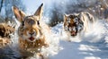 Tiger running in the snow and hunts rabbit, The rabbit runs from the tiger - AI generated