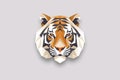 Tiger`s angry face isolated at white Royalty Free Stock Photo