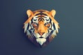 Tiger`s angry face isolated at white Royalty Free Stock Photo