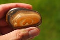 Tiger`s Eye gemstone from Spain held in a hand