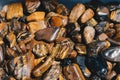 Tiger`s eye and hawk`s eye gemstone as mineral rock