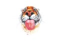 Tiger\'s muzzle with colored pencils and watercolors.Isolated on white background is symbol of 2022.