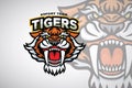 Tiger Sabertooth Roaring Head Logo Design Vector Sports Esports Mascot Illustration Template