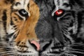Tiger scary horror portrait. Halloween or ghost style