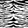 Tiger seamless pattern. Vector wild animal skin textured background, black tiger or zebra stripes print on white background. Royalty Free Stock Photo