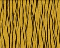 Tiger shaggy short fur