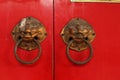 Tiger shape brass door knob Royalty Free Stock Photo