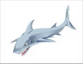 SHARK LOGO OF SHARK FISH PREDATOR Royalty Free Stock Photo