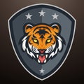 Tiger in shield sports mascot color logo illustration Royalty Free Stock Photo