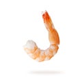 Tiger shrimp or prawn flying isolated on white Royalty Free Stock Photo