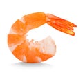 Tiger shrimp. Prawn isolated on a white background. Royalty Free Stock Photo
