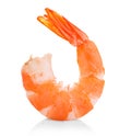 Tiger shrimp. Prawn isolated on a white background. Royalty Free Stock Photo