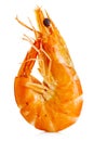 Tiger shrimp. Prawn isolated on a white background. Seafood