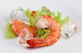 Tiger shrimp's tails Royalty Free Stock Photo