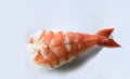 Tiger shrimp sushi on white