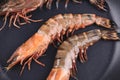 Tiger shrimps on black pan. Royalty Free Stock Photo