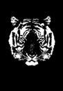 Tiger silhouete , animal isolated , wildlife hunter power