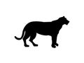 Tiger silhouette, black pattern side view illustration isolated on white background