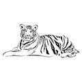 Tiger sitting, black and white, vector