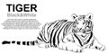 Tiger sitting, black and white, vector