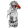 Tiger sketch vector graphics