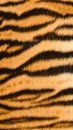 Tiger skin