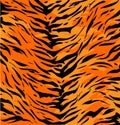 Tiger Skin