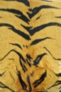 Tiger skin pattern