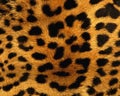 Tiger skin pattern texture repeating monochrome Texture animal prints background