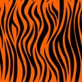 Tiger skin seamless pattern. Exotic tiger skin drawing, fashionable orange background with black strips. Royalty Free Stock Photo