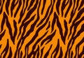 Tiger skin seamless pattern on orange background. Royalty Free Stock Photo