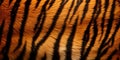 Tiger Skin Texture. Wild Bengal Leather, Wildcat Fur Background. Abstract Zoo Pattern. AI generated.
