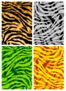 Tiger skins texture background Royalty Free Stock Photo