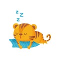 Tiger sleeping on pillow on white background. Royalty Free Stock Photo