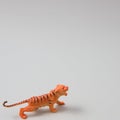 A tiger sneaking on a beige background. Animal scene