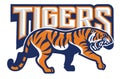 Tiger in sport mascot style