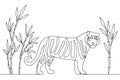 Tiger standing between bamboo plants modern style vector illustration