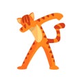 Tiger standing in dub dancing pose, cute cartoon wild animal doing dubbing vector Illustration on a white background