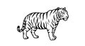 Tiger Standing Illustration Black and White Royalty Free Stock Photo