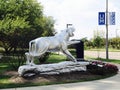 Tiger Statue at Memphis University