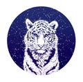 Tiger and stellar sky. ÃÂ¡olor graphic illustration