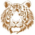 Tiger Stencil Royalty Free Stock Photo