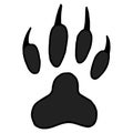 Tiger step icon. Simple illustration of tiger step vector icon