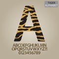 Tiger Stripe Alphabet and Numbers Vector