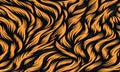 Tiger stripe pattern background orange and. Royalty Free Stock Photo