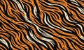 tiger stripe pattern orange black animal. Royalty Free Stock Photo