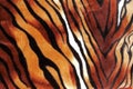 Tiger stripe texture as pattern for background